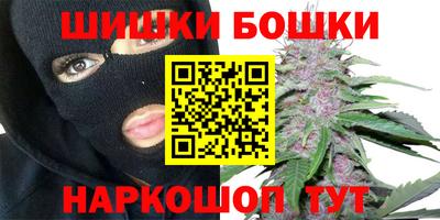 дмт Гатчина