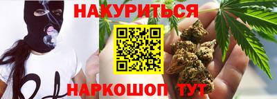 дмт Гатчина