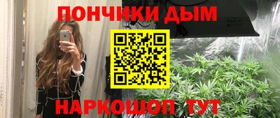 дмт Гатчина