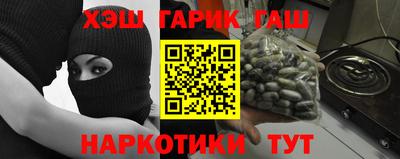 дмт Гатчина