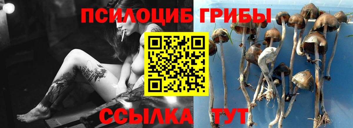 Канск  Галлюциногенные грибы GOLDEN TEACHER  даркнет сайт  Галлюциногенные грибы Magic Shrooms  Вход с VPN 